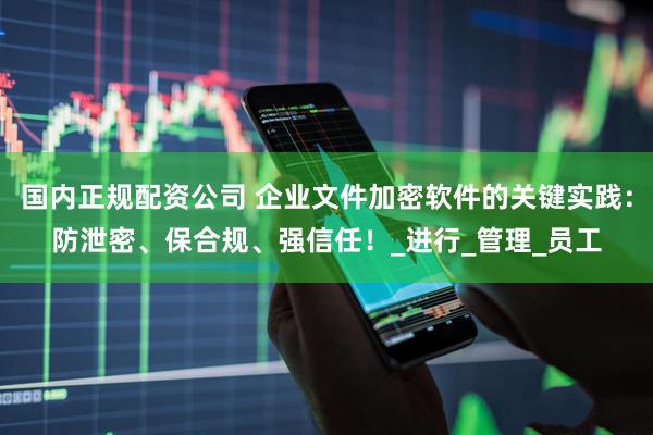 国内正规配资公司 企业文件加密软件的关键实践：防泄密、保合规、强信任！_进行_管理_员工